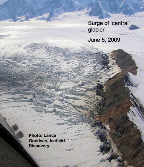 centralsurge, photo 1